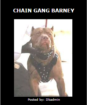 BARNEY