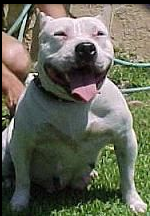 CALIBLUE DOJA